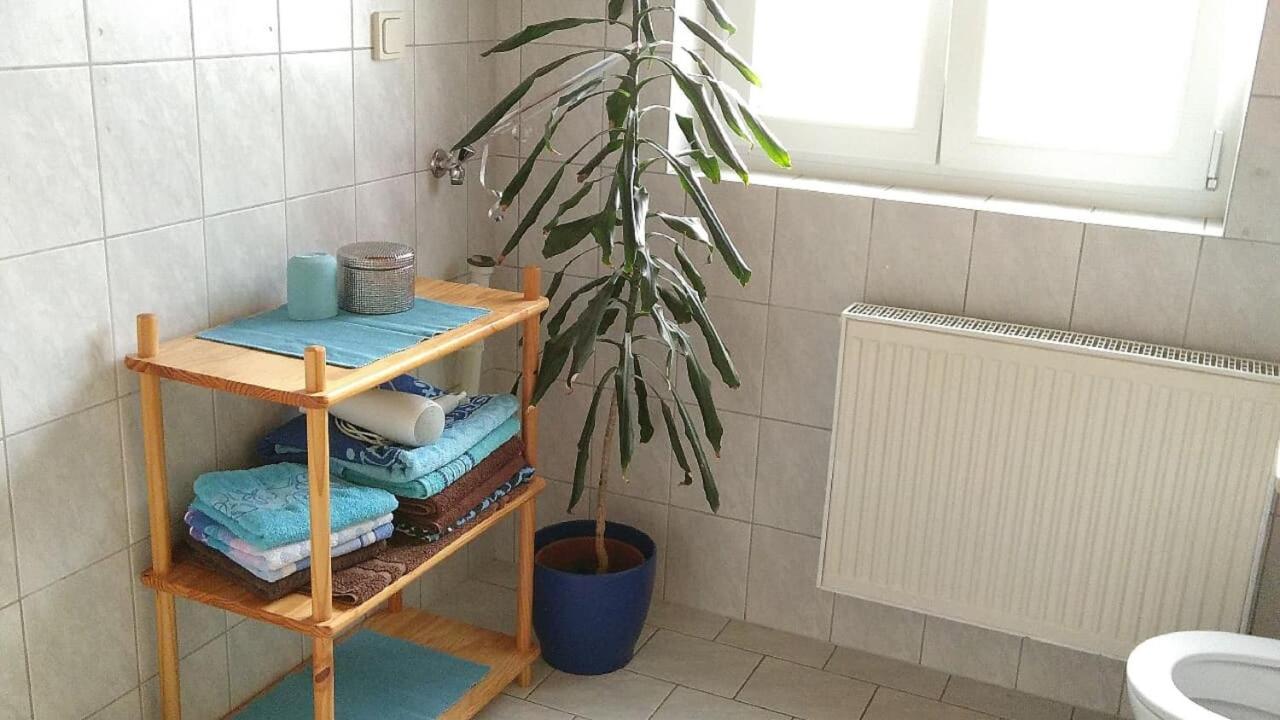 Ferienwohnung Steinwald Auslaeufer Mit Blick Auf Koesseine Waldershof Екстериор снимка
